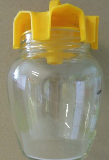 Capcana-viespii-pt-borcan-1309008_1